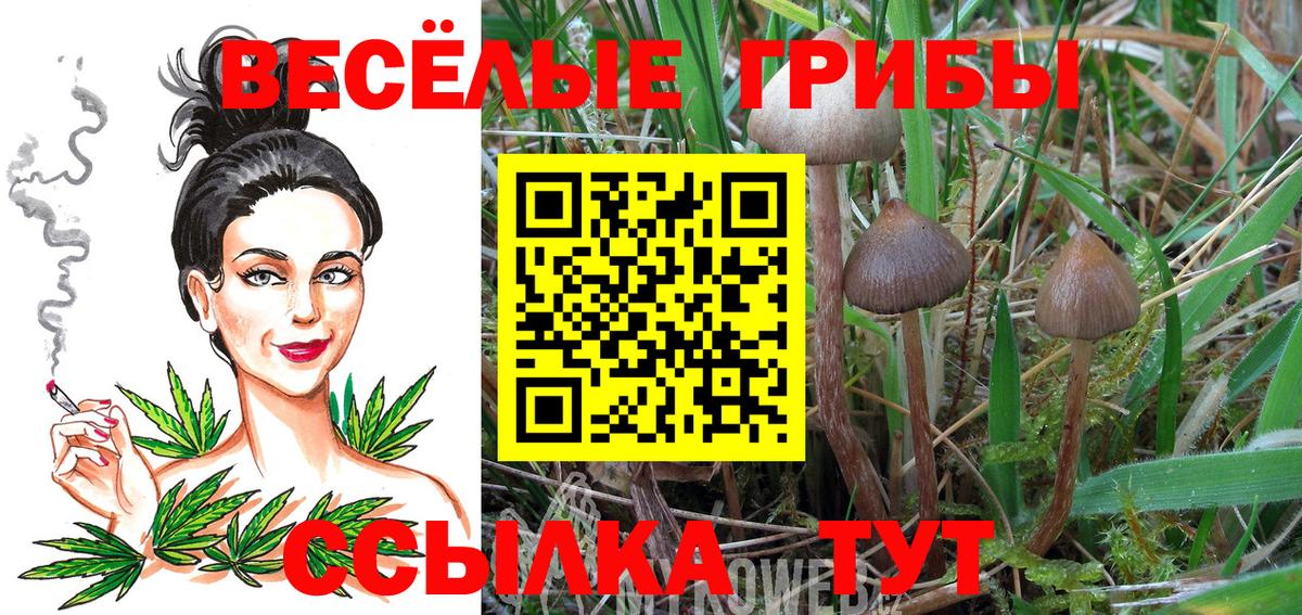 Галлюциногенные грибы Magic Shrooms Ахтубинск