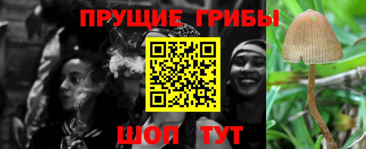 Ахтубинск  Псилоцибиновые грибы прущие грибы  Вход с VPN  Псилоцибиновые грибы MAGIC MUSHROOMS 